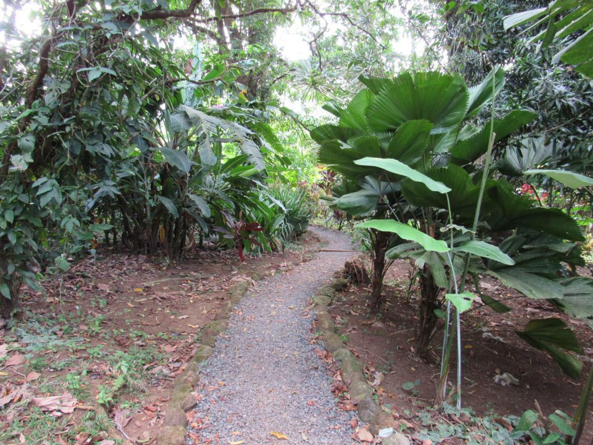 Finca Verde Lodge Bijagua Exterior foto